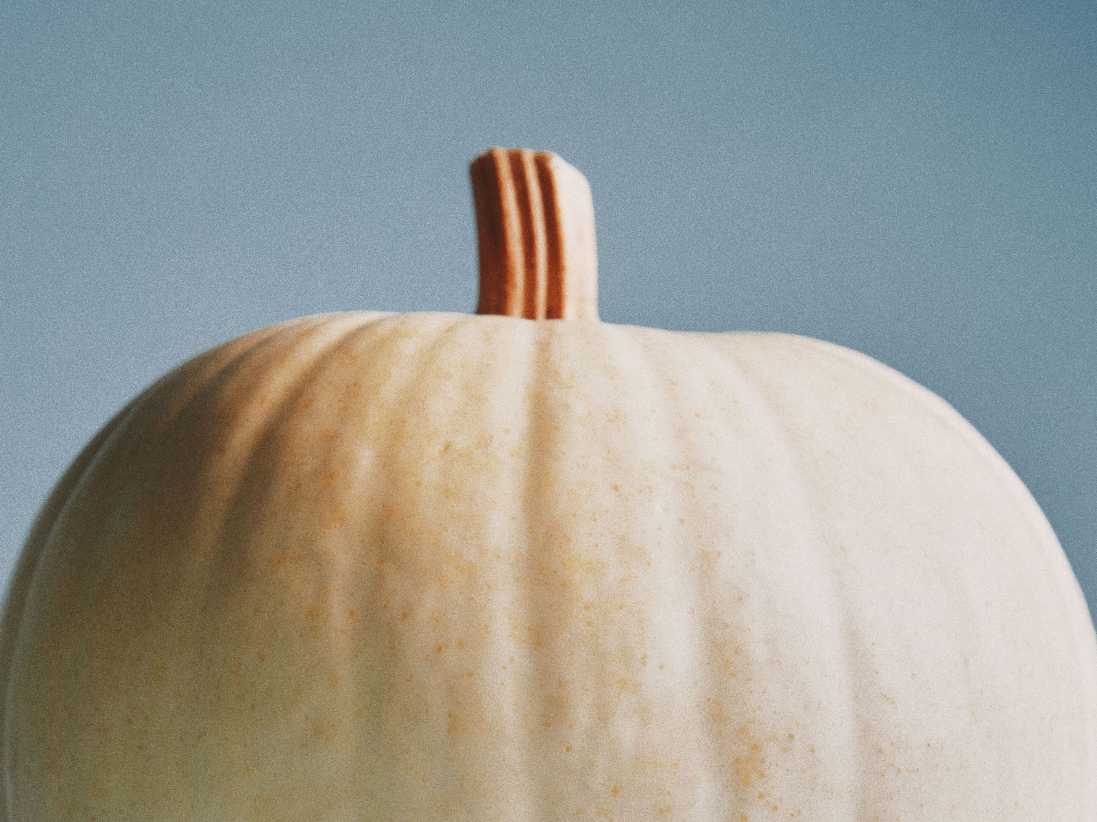 The Best of Pumpkin’s Main Character Energy in 7 Recipes
